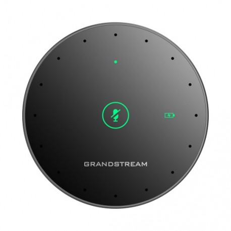 Grandstream GMD1208