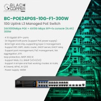 Black Copper BC-POE24PGS-10G-F1-300W