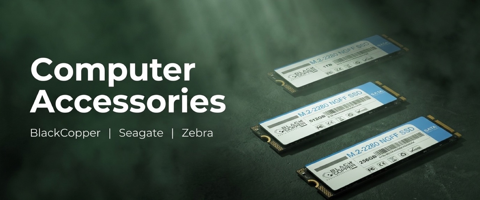 Computer Accessories