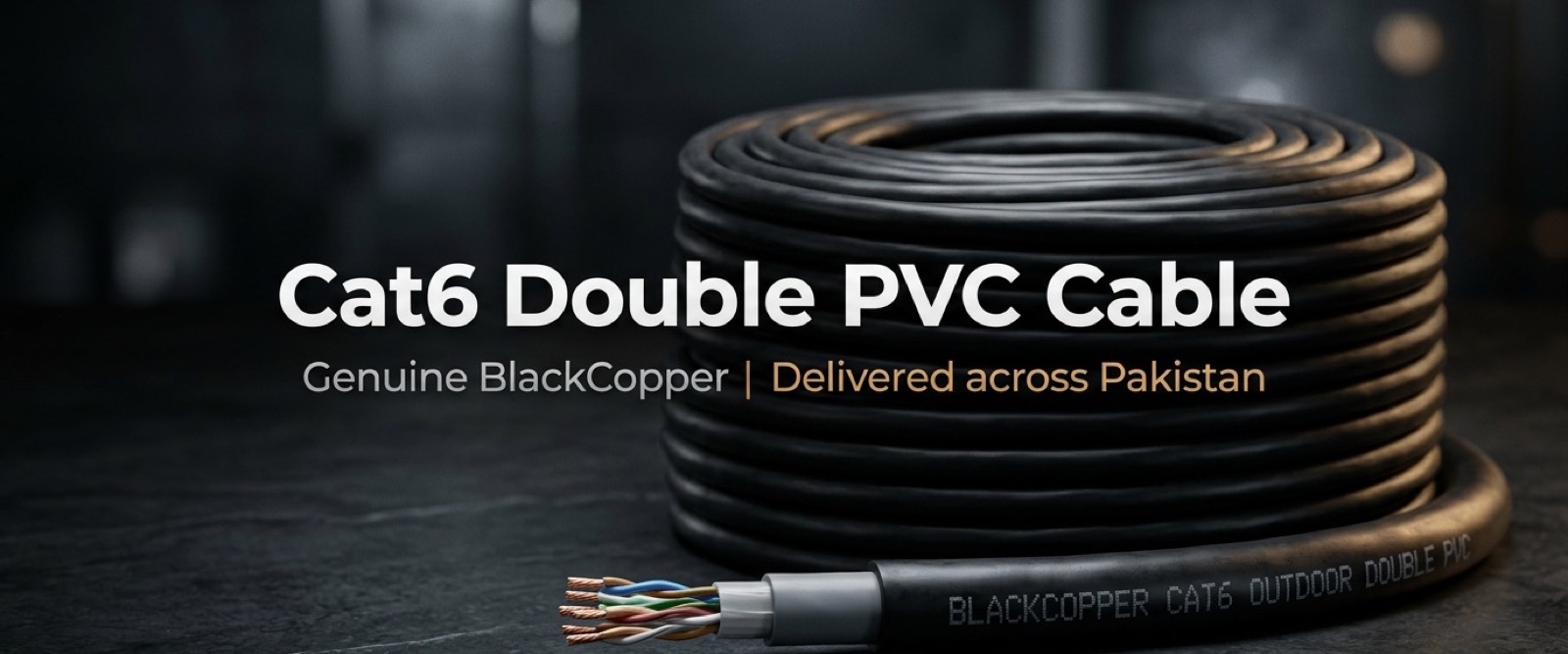 Cat6 Double PVC Cable