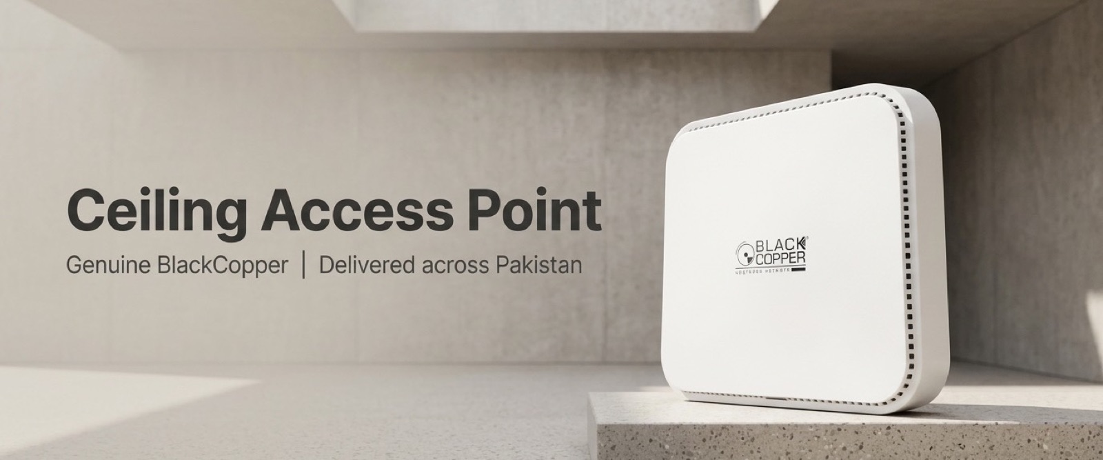 Ceiling Access Point